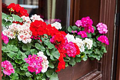 科隆2024获奖游戏出炉 《怪物猎人：荒野》成最大赢家